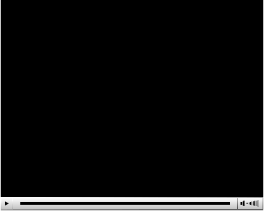 Flash Video Player