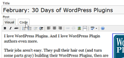 WordPress Rich Text Editor features tabbed controls