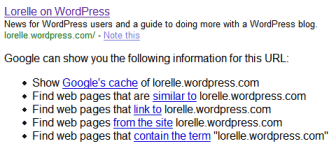 Google Info Search provides extra links to help you find more information on a site
