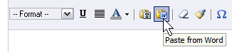 WordPress Rich Text Editor - Paste from Word button