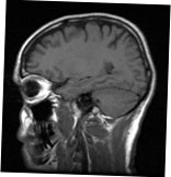 brains Hack Your Brain for a Better Life, and More Productive Blogging