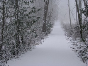 The snowy driveway to Lorelle's home
