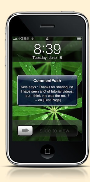 commentpushiphone