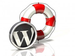 Rescue Icon: WordPress