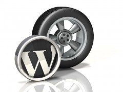 Wheel Icon: WordPress
