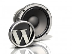 Speaker Icon: WordPress