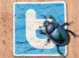 Twitter Bug Twitter Bug