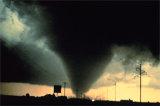bdis 5 Common Blogging Disasters to Avoid