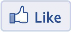 Facebook Like Button 240x111 Facebook Is Tracking You Through Like Button Use, So Is Twitter