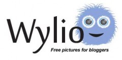 wylio-logo
