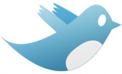 Twitter Bird 240x147 Twitter Now Sending Promoted Tweets Into Timeline Streams