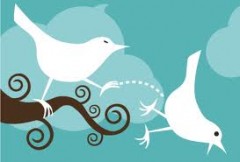Twitter Birds Twitter Birds