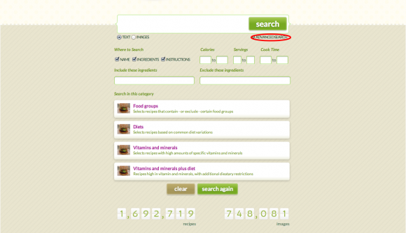 Recipe Finder Advanced Search More search options