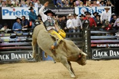 Bull Riding On YouTube Bull Riding On YouTube