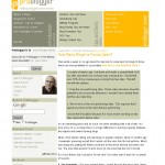 Pro Blogger July 2005