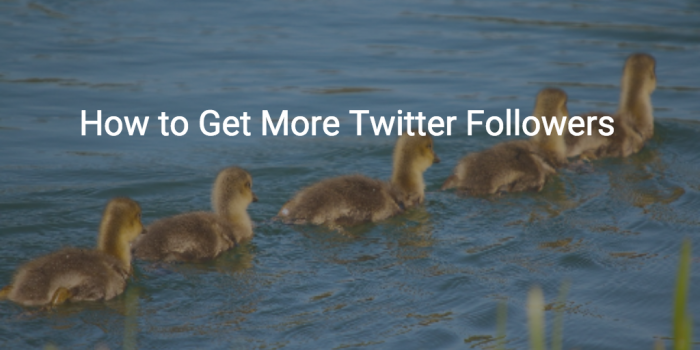 get more twitter followers